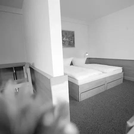Hotel Laerholz 84 *